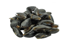 MUSSELS TECNICHAL - Imagen 2