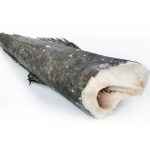 CHILEAN SEABASS