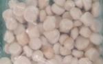 SCALLOPS - Imagen 3